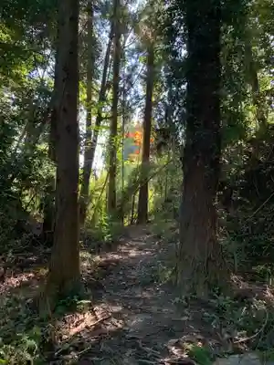 大杉神社の周辺