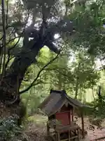 鹿島神社(千葉県)