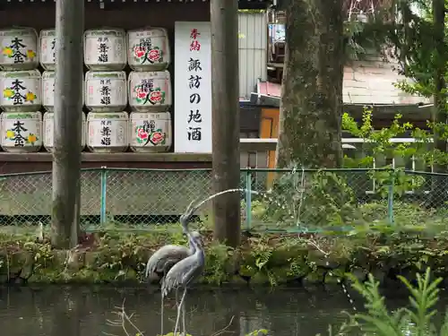 諏訪大社の庭園