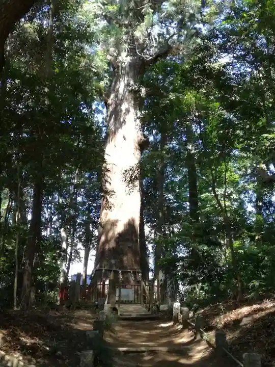麻賀多神社の自然