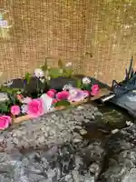 厚別神社(北海道)