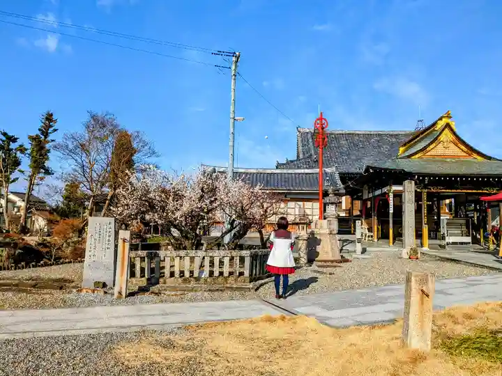 乙津寺 (鏡島弘法)の庭園