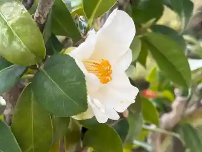 西方山極楽寺(岐阜県)