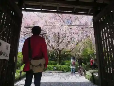 退蔵院(京都府)