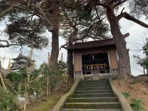 丸岡城八幡神社の本殿・本堂