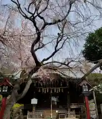 白山神社の本殿