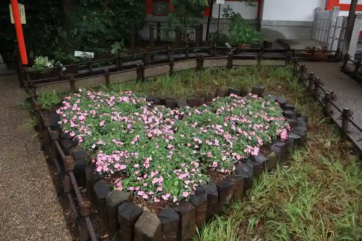 川越八幡宮(埼玉県)