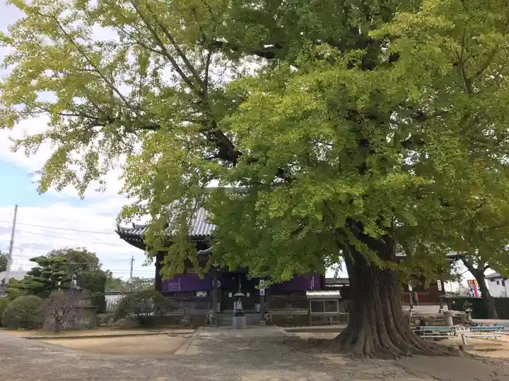 地蔵寺のその他建物