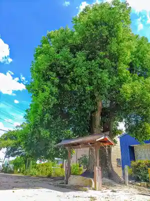 神明社の手水舎