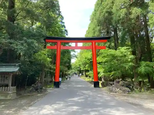 霧島神宮の{uncategorized: "未分類", other: "その他", undefined: "問題あり", building: "その他建物", grave: "お墓", sacred_gate: "鳥居", guardian: "狛犬", statue: "像", buddha: "仏像", history: "歴史", nature: "自然", garden: "庭園", animal: "動物", pagoda: "塔", temizu: "手水舎", mountain_gate: "山門・神門", sanctuary: "本殿・本堂", subordinate: "末社・摂社", art: "芸術", scenery: "景色", jizo: "地蔵", ema: "絵馬", goshuin: "御朱印", omikuji: "おみくじ", items: "授与品その他", amulet: "お守り", goshuincho: "御朱印帳", eats: "食事", festival: "お祭り", votive_dance: "神楽", shichigosan: "七五三参", wedding: "結婚式", experience: "体験その他", initially: "初詣", around: "周辺", anti_infection: "感染症対策"}