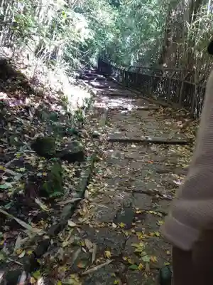 箱根神社(神奈川県)
