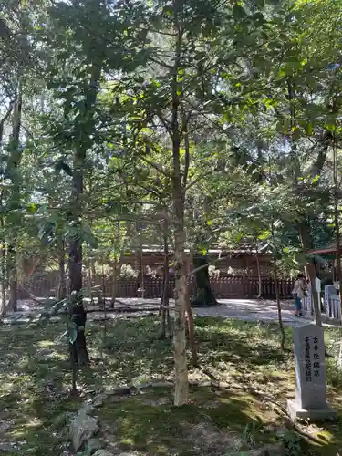 伊弉諾神宮(兵庫県)