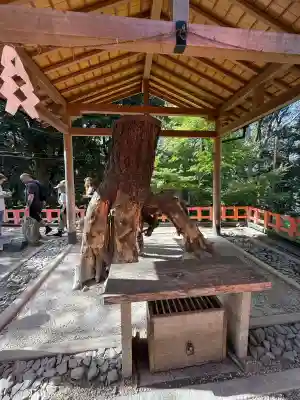 伏見稲荷大社(京都府)