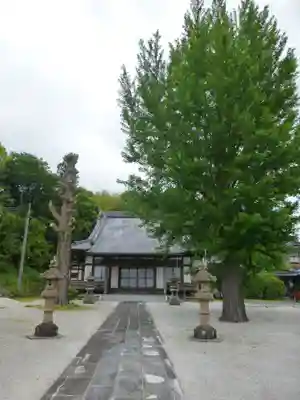 宝泉寺(山口県)