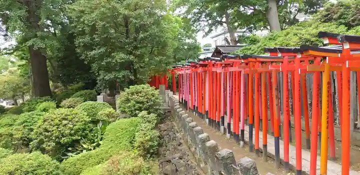 乙女稲荷神社の鳥居