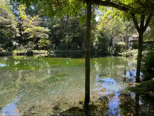 富士山本宮浅間大社(静岡県)