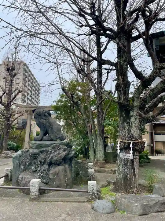 河原町稲荷神社の{uncategorized: "未分類", other: "その他", undefined: "問題あり", building: "その他建物", grave: "お墓", sacred_gate: "鳥居", guardian: "狛犬", statue: "像", buddha: "仏像", history: "歴史", nature: "自然", garden: "庭園", animal: "動物", pagoda: "塔", temizu: "手水舎", mountain_gate: "山門・神門", sanctuary: "本殿・本堂", subordinate: "末社・摂社", art: "芸術", scenery: "景色", jizo: "地蔵", ema: "絵馬", goshuin: "御朱印", omikuji: "おみくじ", items: "授与品その他", amulet: "お守り", goshuincho: "御朱印帳", eats: "食事", festival: "お祭り", votive_dance: "神楽", shichigosan: "七五三参", wedding: "結婚式", experience: "体験その他", initially: "初詣", around: "周辺", anti_infection: "感染症対策"}