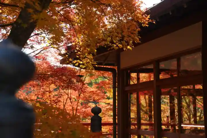今熊野観音寺(京都府)