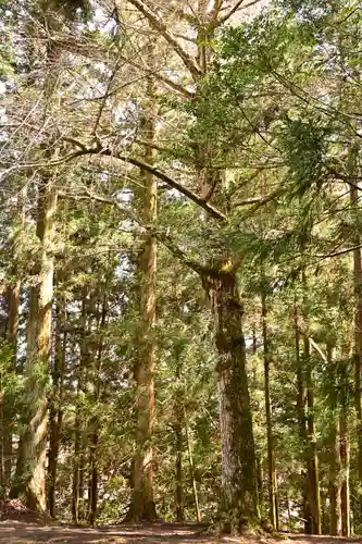 相峰神社(愛媛県)