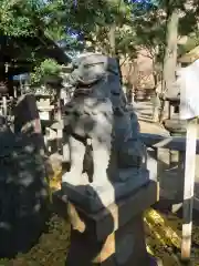 那古野神社の狛犬