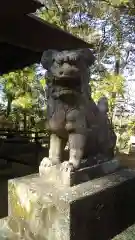 稲村神社の狛犬