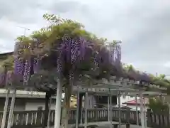 白鷺神社の庭園