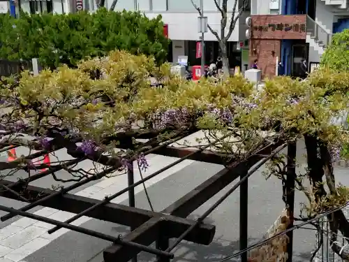 善國寺(東京都)