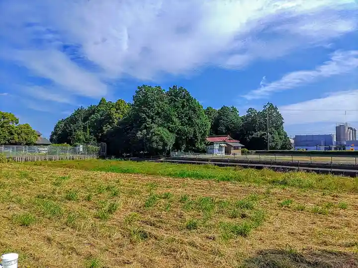 若宮八幡社の自然