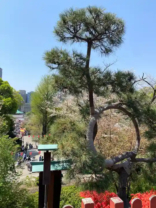 清水観音堂(東京都)