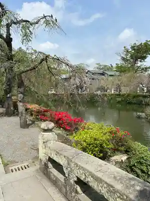 三嶋大社(静岡県)