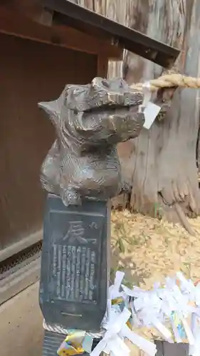 稲毛神社の狛犬