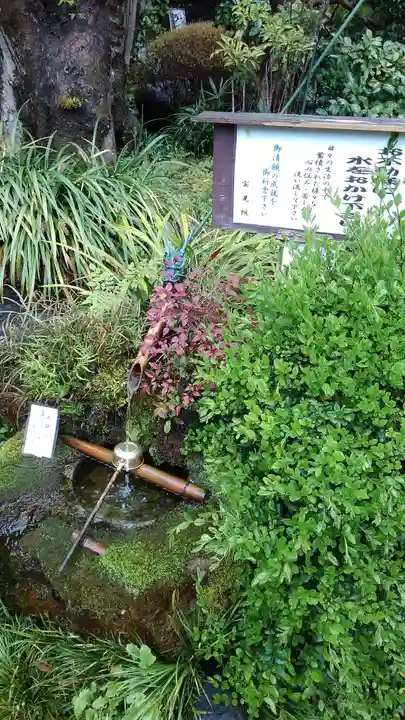 寳晃院の手水舎