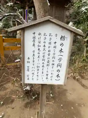 天満天神宮の{uncategorized: "未分類", other: "その他", undefined: "問題あり", building: "その他建物", grave: "お墓", sacred_gate: "鳥居", guardian: "狛犬", statue: "像", buddha: "仏像", history: "歴史", nature: "自然", garden: "庭園", animal: "動物", pagoda: "塔", temizu: "手水舎", mountain_gate: "山門・神門", sanctuary: "本殿・本堂", subordinate: "末社・摂社", art: "芸術", scenery: "景色", jizo: "地蔵", ema: "絵馬", goshuin: "御朱印", omikuji: "おみくじ", items: "授与品その他", amulet: "お守り", goshuincho: "御朱印帳", eats: "食事", festival: "お祭り", votive_dance: "神楽", shichigosan: "七五三参", wedding: "結婚式", experience: "体験その他", initially: "初詣", around: "周辺", anti_infection: "感染症対策"}