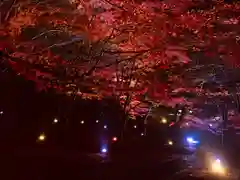 土津神社｜こどもと出世の神さまの景色