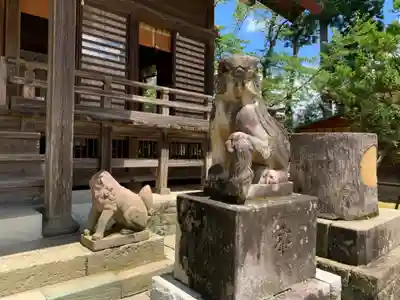 橘樹神社の狛犬