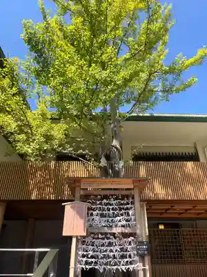 白山神社(新潟県)