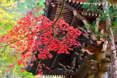 最乗寺（道了尊）(神奈川県)