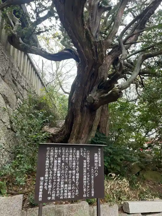 高諸神社の{uncategorized: "未分類", other: "その他", undefined: "問題あり", building: "その他建物", grave: "お墓", sacred_gate: "鳥居", guardian: "狛犬", statue: "像", buddha: "仏像", history: "歴史", nature: "自然", garden: "庭園", animal: "動物", pagoda: "塔", temizu: "手水舎", mountain_gate: "山門・神門", sanctuary: "本殿・本堂", subordinate: "末社・摂社", art: "芸術", scenery: "景色", jizo: "地蔵", ema: "絵馬", goshuin: "御朱印", omikuji: "おみくじ", items: "授与品その他", amulet: "お守り", goshuincho: "御朱印帳", eats: "食事", festival: "お祭り", votive_dance: "神楽", shichigosan: "七五三参", wedding: "結婚式", experience: "体験その他", initially: "初詣", around: "周辺", anti_infection: "感染症対策"}