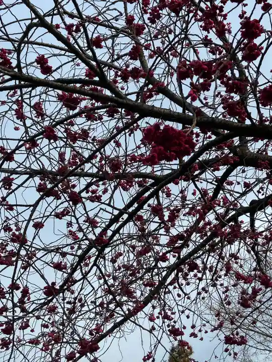 常泉寺(神奈川県)