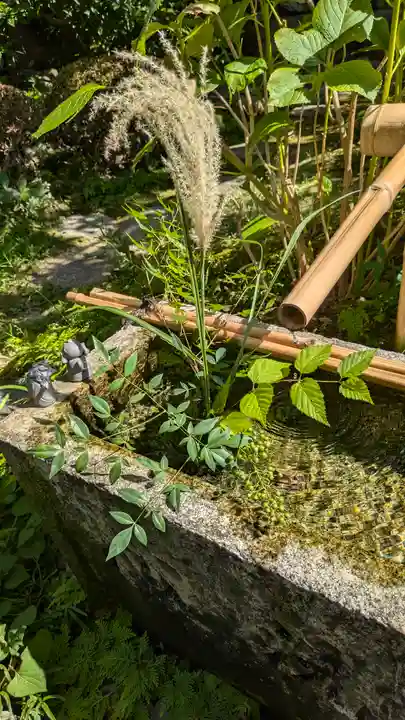 宝蔵寺(京都府)