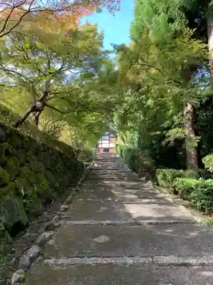 正伝護国禅寺(正伝寺･正傳寺)(京都府)