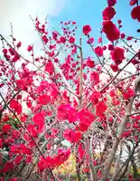 十日恵比須神社(福岡県)