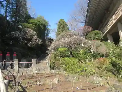 東長谷寺　薬王院(東京都)
