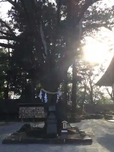 武田神社の建物その他