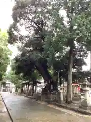 豊川進雄神社の建物その他