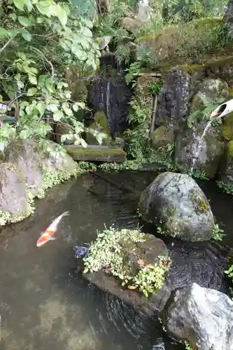 宝泉院の庭園