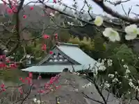 黄梅院(円覚寺塔頭)の景色