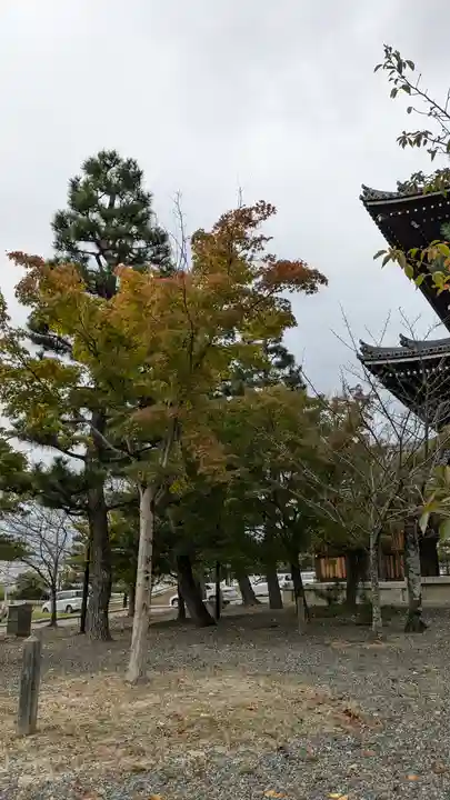 くろ谷 金戒光明寺(京都府)