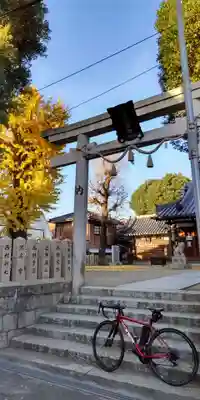 長洲貴布禰神社(兵庫県)