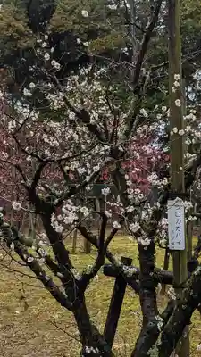 長岡天満宮(京都府)